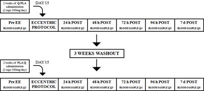 Quercetin Modulates IGF-I and IGF-II Levels After Eccentric Exercise-Induced Muscle-Damage: A Placebo-Controlled Study